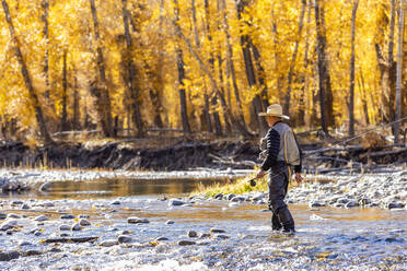 USA, Idaho, Bellevue, Älterer Angler watet im Big Wood River im Herbst - TETF01380