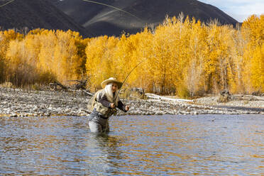 USA, Idaho, Bellevue, Senior woman fly-fishing in Big Wood River in autumn - TETF01400