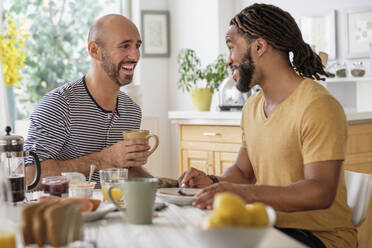 Smiley homosexual couple having breakfast in kitchen - TETF01442