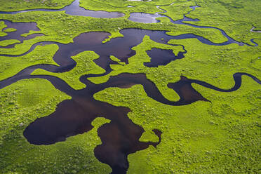 Luftaufnahme des Everglades-Nationalparks in Florida, USA - TETF01467