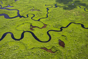 Luftaufnahme des Everglades-Nationalparks in Florida, USA - TETF01468