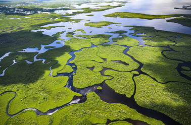 Luftaufnahme des Everglades-Nationalparks in Florida, USA - TETF01469