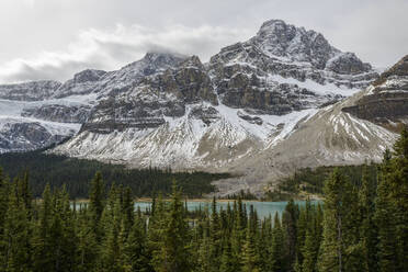 Kanada, Alberta, Banff, Schneebedeckte Berge und Bow Lake - TETF01566