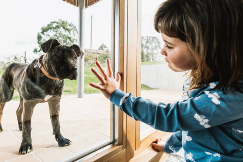 Seitenansicht eines Mädchens im Schlafanzug, das mit einem niedlichen schwarzen American Pit Bull Terrier spielt, während es in der Nähe einer Glastür auf dem Lande mit grünem Rasen sitzt - ADSF34031