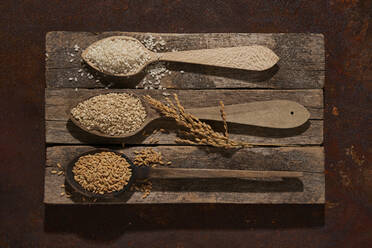 Top view full wooden spoons with set of rice and sesame seeds with barley grains placed on shabby chopping board near with rice ears - ADSF34096