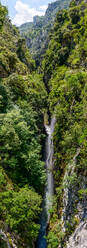 Amazing scenery of waterfall flowing through rocky cliff near lush green plants on sunny day in forest - ADSF34125