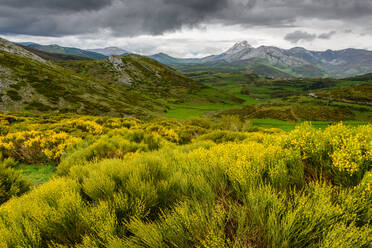 Landschaft mit schwebenden Wolken über einer Bergkette mit üppigen grünen Bäumen auf dem Lande in den Palentiner Bergen, Spanien - ADSF34127