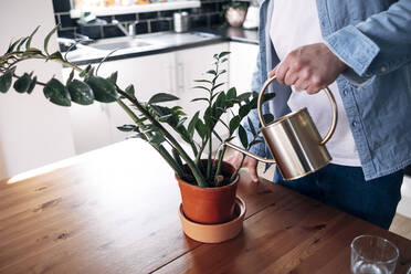 Man watering potted plant at home - ASGF02224