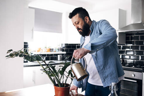 Man watering potted plant with watering can at home - ASGF02225