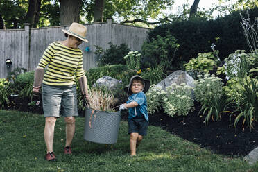 Grandmother with grandson carrying basket of plant together in garden - ACTF00172