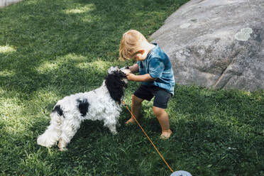 Junge spielt mit Welpe im Gras - ACTF00192