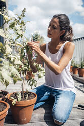 Frau berührt Blatt einer Topfpflanze auf dem Balkon an einem sonnigen Tag - JOSEF07977