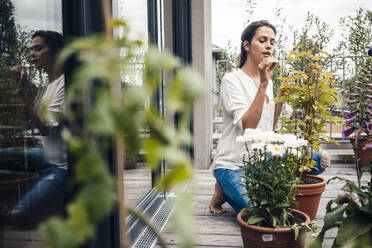 Woman touching leaf of potted plant kneeling in balcony - JOSEF08013