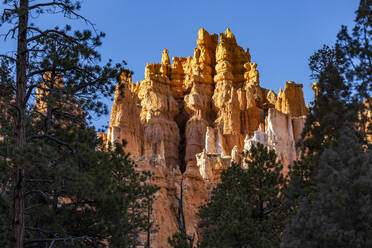 Vereinigte Staaten, Utah, Bryce Canyon National Park, Hoodoo Felsformationen im Canyon - TETF01627
