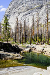 Pool und verbrannte Bäume im Yosemite-Nationalpark - CAVF95869