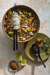 Tofu und Huhn Pho Schüssel mit Nudeln - CAVF95884