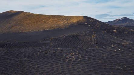 Spanien, Lanzarote, Luftaufnahme der Vulkanlandschaft des Weinbergs Bodega La Geria - SIPF02815