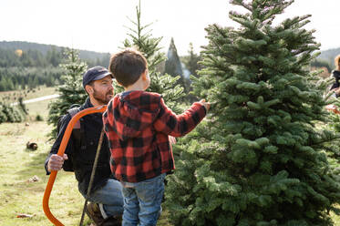 Vater hält die Säge und betrachtet den Weihnachtsbaum mit einem Jungen - CAVF95926
