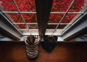 Overhead von Junge und Teddybär, die an einem Herbsttag aus dem Fenster schauen. - CAVF95949