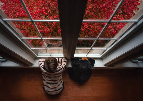 Overhead von Junge und Teddybär, die an einem Herbsttag aus dem Fenster schauen. - CAVF95949