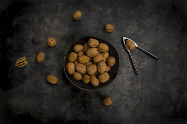 Studio shot of nutcracker and bowl of walnuts lying against black background - LVF09212