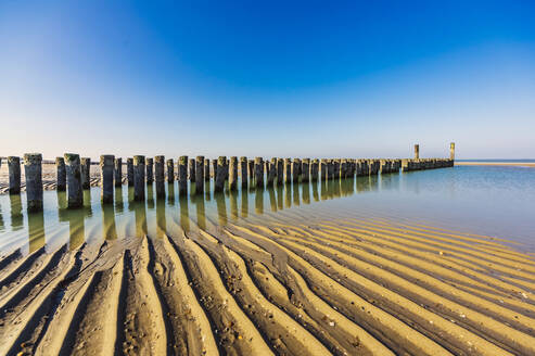 Netherlands, Zeeland, Groyne on sandy coastal beach of Walcheren peninsula - THAF03060