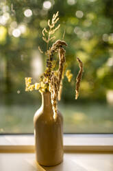 Blumenvase auf der Fensterbank zu Hause - OJF00486