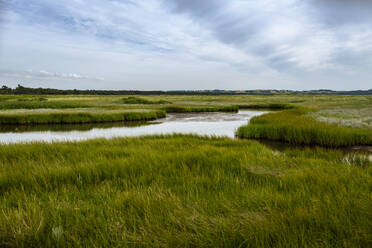 Green grass by lake against sky - OJF00501