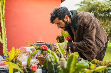 Concentrated gardener checking the condition and growth of plants - CAVF96025