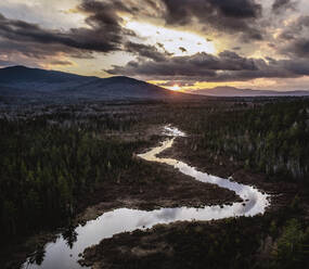 Stream meanders through marshland at sunset in Maine woods - CAVF96147