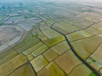 Luftaufnahme eines landwirtschaftlichen Feldes in Sapahar, Bundesstaat Rajshahi, Bangladesch. - AAEF14278