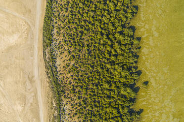 Luftaufnahme des Mangrovenstrandes in einem Sumpfgebiet in Umm al-Quwain, Vereinigte Arabische Emirate. - AAEF14292