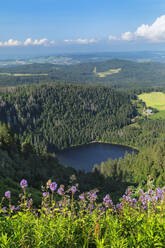 Blick vom Seebuck-Gipfel am Feldberg auf den Feldsee, Schwarzwald, Baden-Württemberg, Deutschland, Europa - RHPLF21803