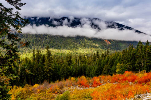 Bunte Aussicht auf den Mount Rainier National Park, Washington State, Vereinigte Staaten von Amerika, Nordamerika - RHPLF21829