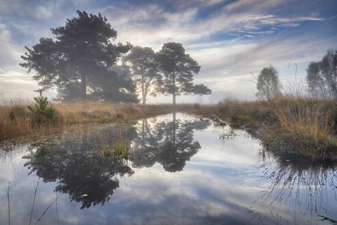 Nebliger, kühler Herbsttagesanbruch im Strensall Common Nature Reserve in der Nähe von York, North Yorkshire, England, Vereinigtes Königreich, Europa - RHPLF21832