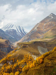 Gudauri recreational area, Kazbegi, Georgia (Sakartvelo), Central Asia, Asia - RHPLF21839