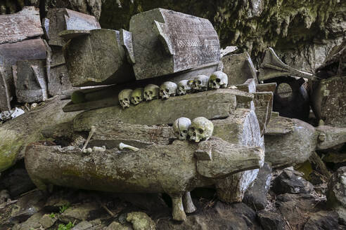Schädel auf Särgen in einer 700 Jahre alten Grabhöhle in Parinding, nördlich von Rantepao, Lombok Parinding, Toraja, Süd-Sulawesi, Indonesien, Südostasien, Asien - RHPLF21853