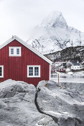 Roter Rorbu in der gefrorenen Landschaft mit dem schneebedeckten Berg Olstind im Hintergrund, Reine, Nordland, Lofoten, Norwegen, Skandinavien, Europa - RHPLF21870