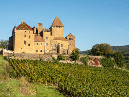 Das Schloss und Weingut Pierreclos bei Macon, Saone-et-Loire, Burgund, Frankreich, Europa - RHPLF21887