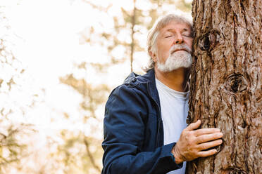 Elderly man with gray hair and beard hugging tree in autumn forest with closed eyes on blurred background - ADSF34222