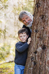 Positive elderly grandfather with gray hair and beard with little smiling boy hiding behind tree and looking at camera in forest on blurred background - ADSF34223