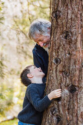 Positiver älterer Großvater mit grauen Haaren und Bart mit kleinem lächelnden Jungen, der sich hinter einem Baum versteckt und einander im Wald auf verschwommenem Hintergrund ansieht - ADSF34224