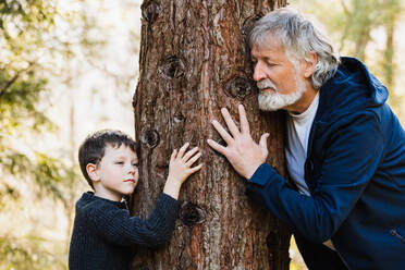 Elderly man with gray hair and beard and cute little boy hugging tree in autumn forest with closed eyes on blurred background - ADSF34227