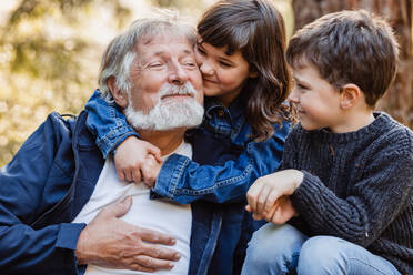 Bearded grandad with charming granddaughter and laughing grandson sitting in woods and looking to each other - ADSF34234