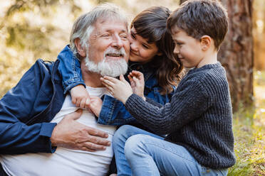 Bearded grandad with charming granddaughter and laughing grandson sitting in woods and looking to each other - ADSF34235