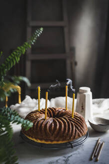 Appetizing homemade poppy seeds bundt cake with extinguished candles placed on table in cozy room near green plant and decorative dishes on blurred background - ADSF34307