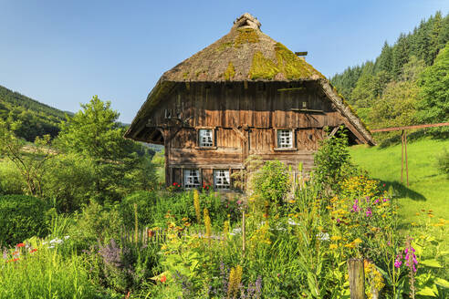 Landwasserhof Mill and cottage garden near Elzach, Black Forest, Baden-Wurttemberg, Germany, Europe - RHPLF21938