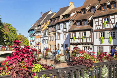 Petite Venise district, Colmar, Alsace, Haut-Rhin, France, Europe - RHPLF21939