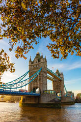 Herbstsonnenaufgang im Park des Tower of London, mit Tower Bridge, London, England, Vereinigtes Königreich, Europa - RHPLF21944