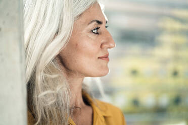 Businesswoman with gray hair in office - JOSEF08325